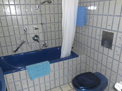 Badezimmer mit Badewanne und Duschvorrichtung