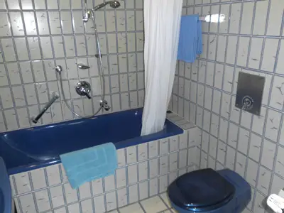 Badezimmer mit Badewanne und Duschvorrichtung