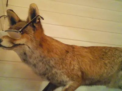 Ferienwohnung für 2 Personen (30 m²) in Haltern Am See 4/8