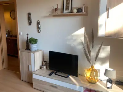 Wohnzimmer mit TV Ferienwohnung Kunterbunt Haltern am See