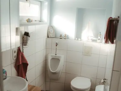 Das Tageslichtbad mit WC, Dusche und Waschebecken