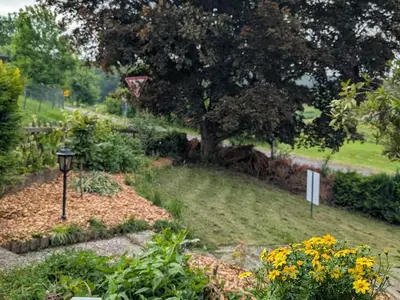 Ferienwohnung für 5 Personen (75 m²) in Hameln 2/10