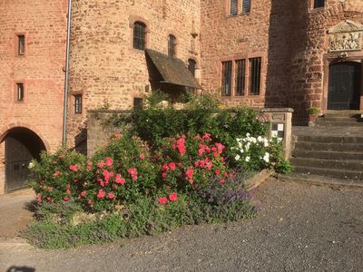Schloss Hamm - Impression