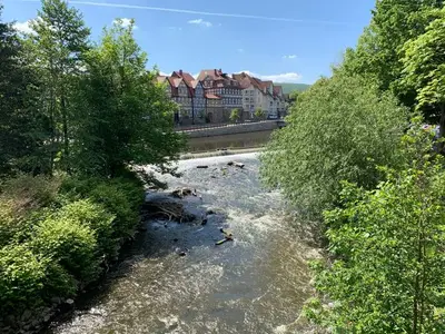 Ferienwohnung für 4 Personen (66 m²) in Hannoversch Münden 9/10