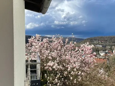 Ferienwohnung für 4 Personen (110 m²) in Hannoversch Münden 3/10