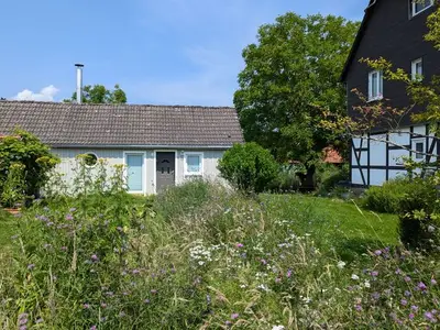 Ferienwohnung für 3 Personen (50 m²) in Hannoversch Münden 2/10