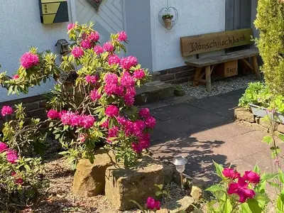Ferienwohnung für 2 Personen (45 m²) in Hannoversch Münden 3/10