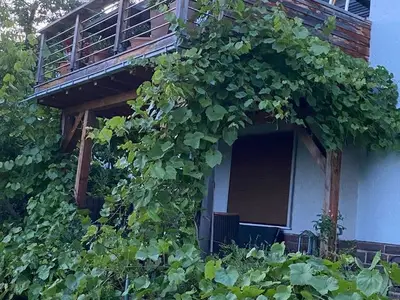 Ferienwohnung für 2 Personen (45 m²) in Hannoversch Münden 8/10