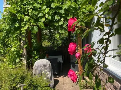 Ferienwohnung für 2 Personen (45 m²) in Hannoversch Münden 9/10