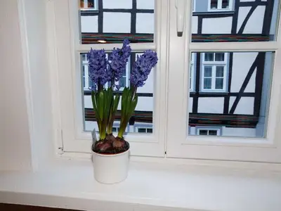 Ferienwohnung für 4 Personen (67 m²) in Hannoversch Münden 3/10