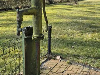 Ferienwohnung für 6 Personen (84 m²) in Haren (Ems) 4/10