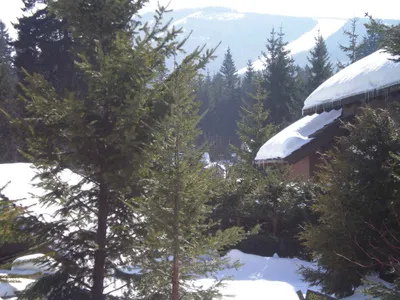 Ferienwohnung für 5 Personen (50 m²) in Harrachov (Semily) 5/10