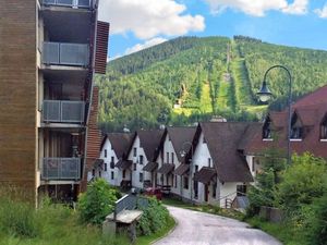 Ferienwohnung für 2 Personen (40 m²) in Harrachov (Semily)