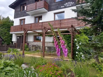 Ferienwohnung für 9 Personen (115 m²) in Harrachov (Semily) 1/10