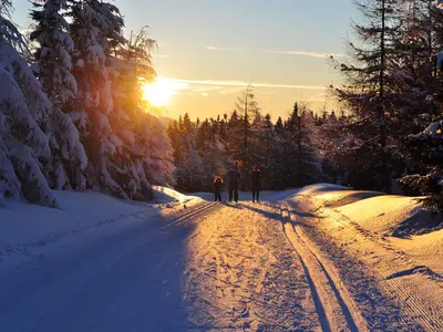 Ferienwohnung für 9 Personen (115 m²) in Harrachov (Semily) 9/10