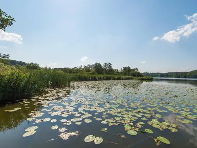Niehuuser See