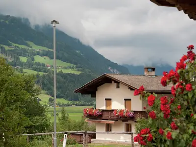 ViewSummer