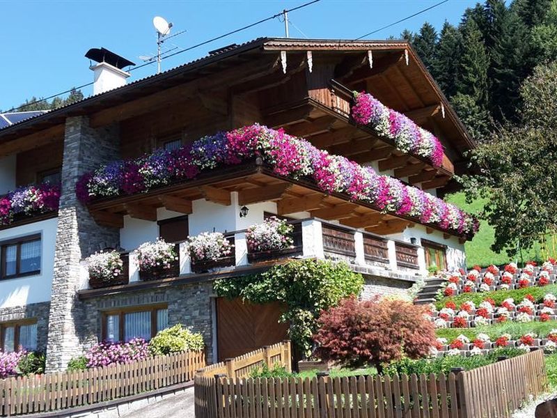 24034892-Ferienwohnung-7-Hart im Zillertal-800x600-2