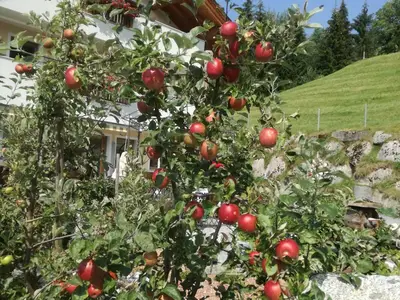 Zillertal-Hart-Ferienwohnungen-Ferienwohnung Hinte