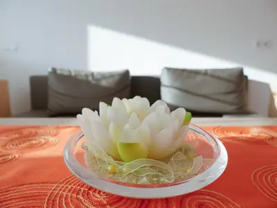 Haus am Sonnenhang-Hart-Zillertal-Chouchzone