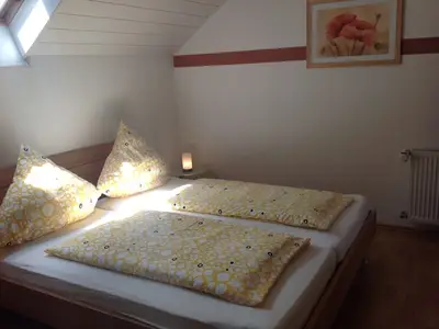 Ferienwohnung für 3 Personen (42 m²) in Harthausen 4/10
