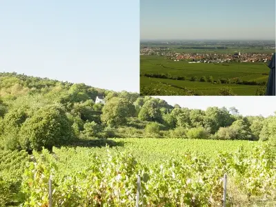 Ferienwohnung für 2 Personen (35 m²) in Harthausen 9/10