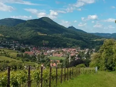 Ferienwohnung für 3 Personen (42 m²) in Harthausen 8/10