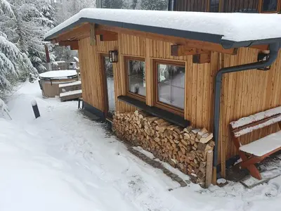 Ferienwohnung für 5 Personen (80 m²) in Hartmannsdorf-Reichenau 9/10
