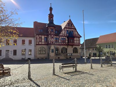 Ferienwohnung für 4 Personen (50 m²) in Harzgerode 8/10