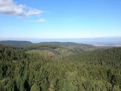 Ferienwohnung für 3 Personen (50 m²) in Harzgerode 10/10