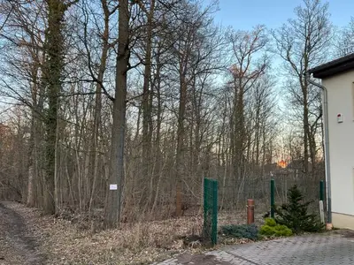 Ferienwohnung für 4 Personen (57 m²) in Harzgerode 4/10