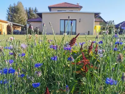 Ferienwohnung für 4 Personen (55 m²) in Harzgerode 5/10
