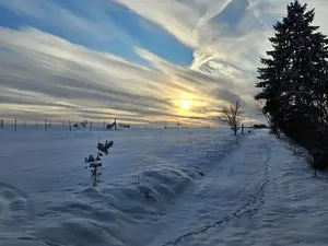 Ferienwohnung für 4 Personen (55 m²) in Harzgerode