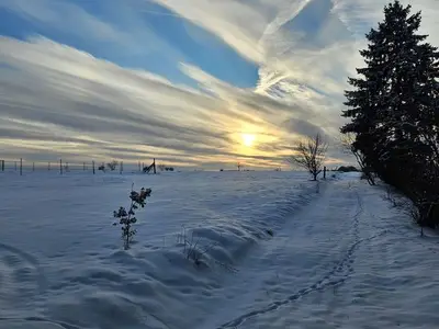 Ferienwohnung für 4 Personen (55 m²) in Harzgerode 3/10