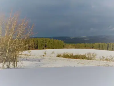 Ferienwohnung für 4 Personen (55 m²) in Harzgerode 4/10