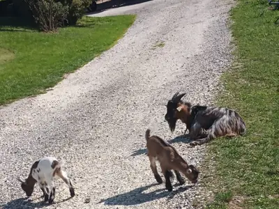 Das  Dreamteam  genießt die Sonne