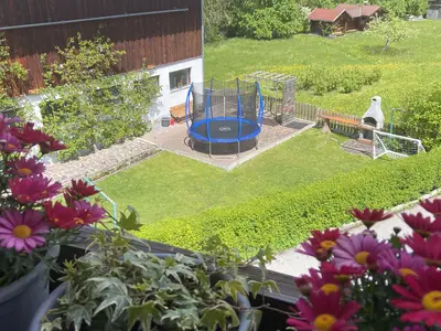 Blick in den Garten