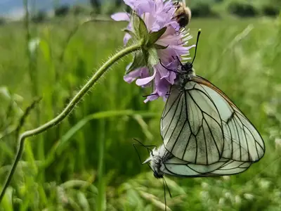 Impressionen Haus Kohler