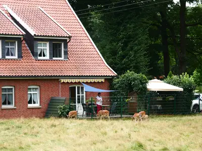 Ferienwohnung für 4 Personen (80 m²) in Haselünne 9/10