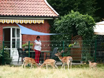 Ferienwohnung für 4 Personen (80 m²) in Haselünne 10/10