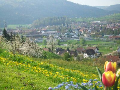 Ferienwohnung für 5 Personen (60 m²) in Haslach im Kinzigtal 3/10