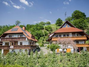 Ferienwohnung für 2 Personen (41 m²) in Haslach im Kinzigtal