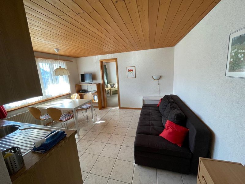 22303289-Ferienwohnung-3-Hasliberg-800x600-2