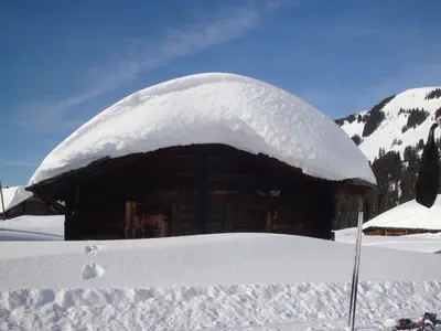 Balisalp