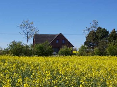 Ferienwohnung für 3 Personen (40 m²) in Hasselberg 2/10