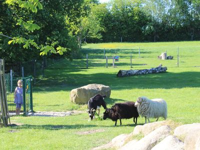 Ferienwohnung für 4 Personen (62 m²) in Hasselberg 8/9