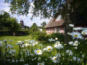 19271656-Ferienwohnung-2-Hasselberg-300x225-1