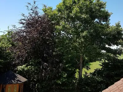 Ferienwohnung für 5 Personen (90 m²) in Hasselberg 10/10