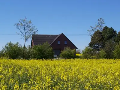 Ferienwohnung für 3 Personen (40 m²) in Hasselberg 2/10