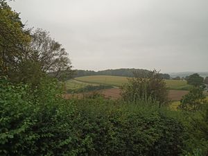 23836246-Ferienwohnung-1-Hattingen-300x225-5